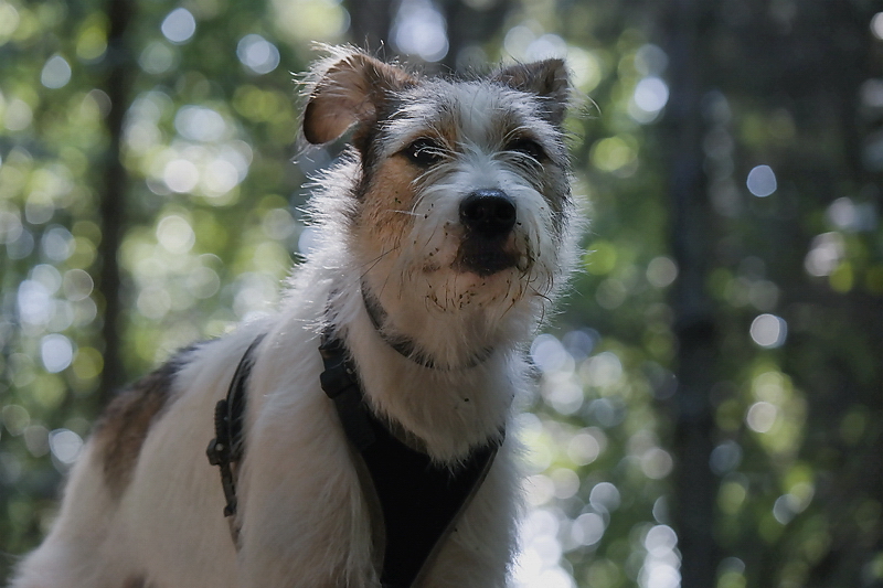 001 Felix SAM_3075 als Smart-Objekt-1 Kopie als Smart-Objekt-1 Kopie.jpg